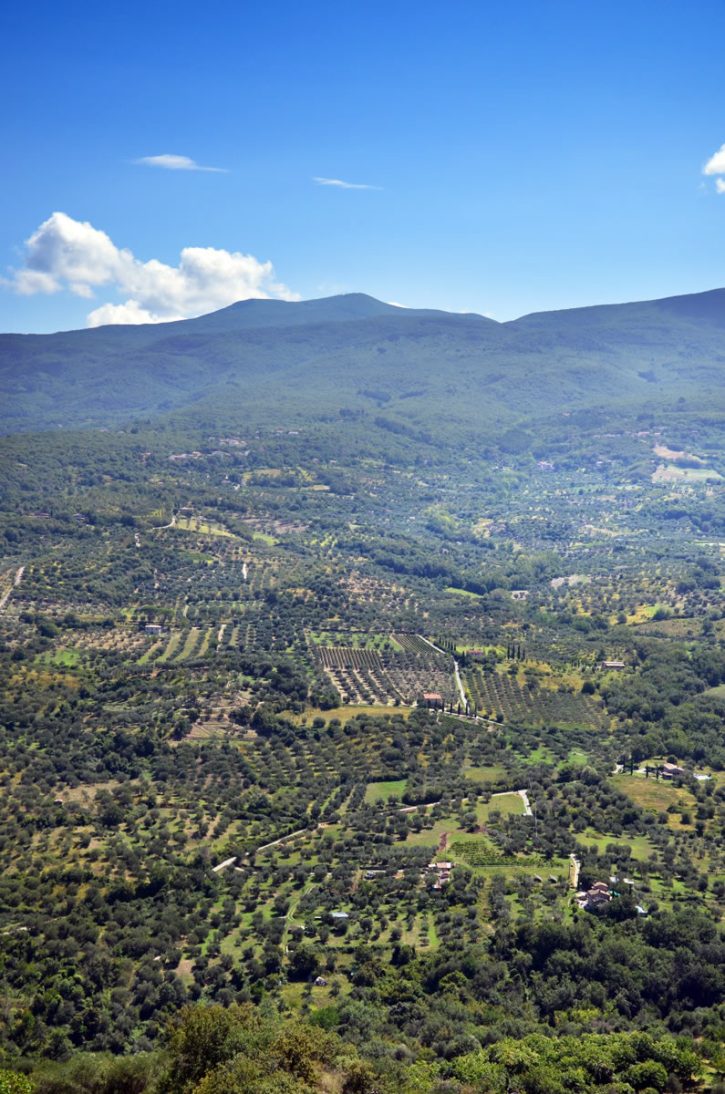 ai-piedi-del-monte-amiata
