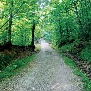arrivo-parco-vivo-orcia-sorgenti-ermicciolo