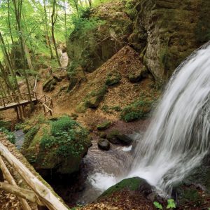 cascate-dello-scodellino-vivo