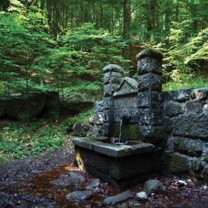 fonte-capovetra-sorgente-amiata