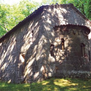 il-sentiero-nel-castagneto-ermicciolo