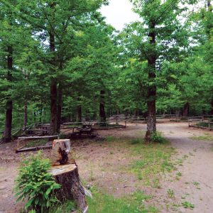 parco-vivo-ermicciolo-area-sosta