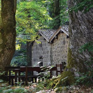 passaggio-amiata-foresteria-ermicciolo
