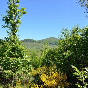 scorcio-montagnola-amiata