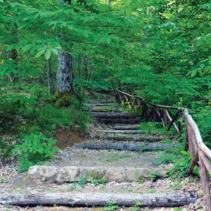 verso-ermicciolo-da-punto-ristoro-